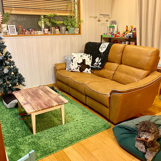 makoriさんの実例写真
