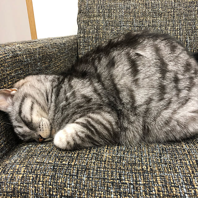 syrnuu946さんの実例写真