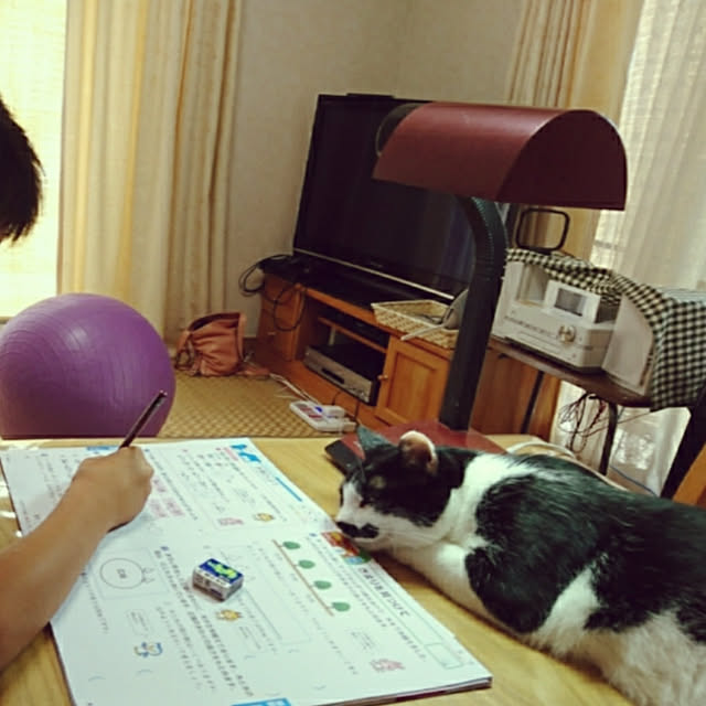 oliveさんの実例写真