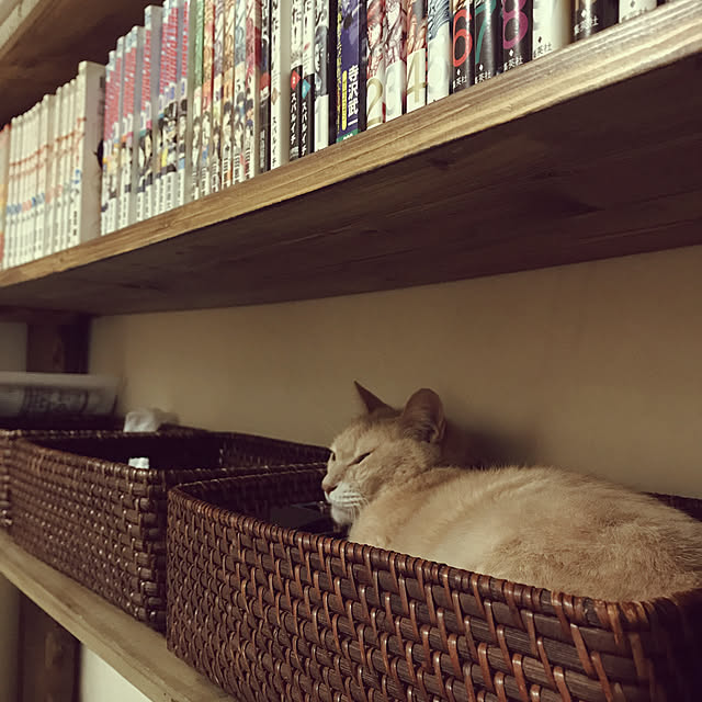 mikan161さんの実例写真