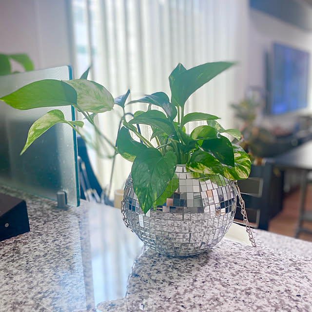 m.Reikoさんの部屋
