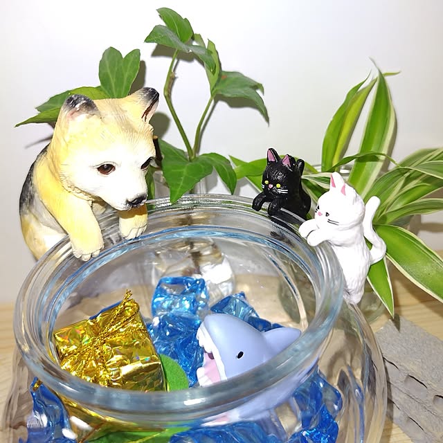 katさんの部屋