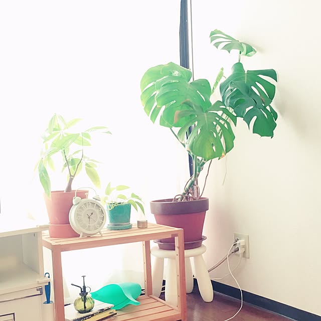 0720さんの実例写真