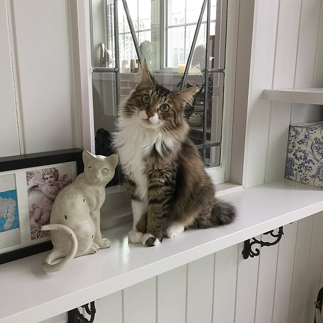 yuchiさんの実例写真