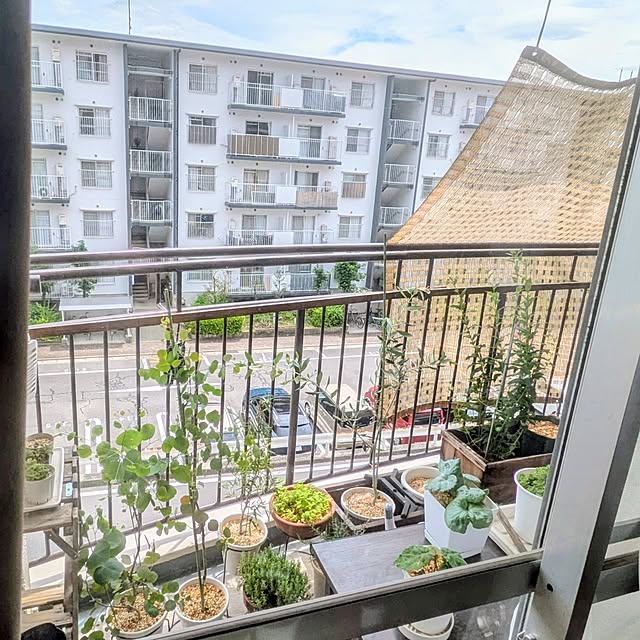 mi-saさんの部屋
