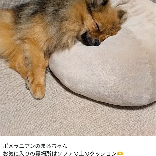 avovo7さんの実例写真