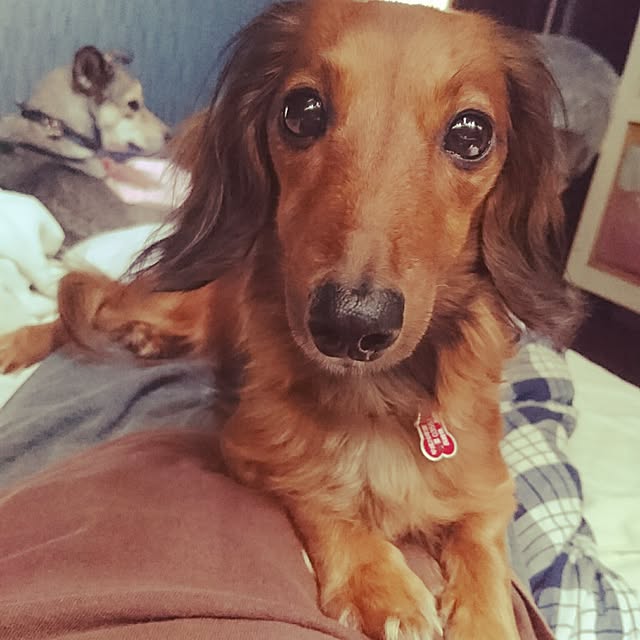 andさんの実例写真