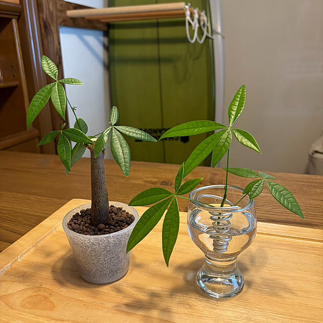 505さんの実例写真