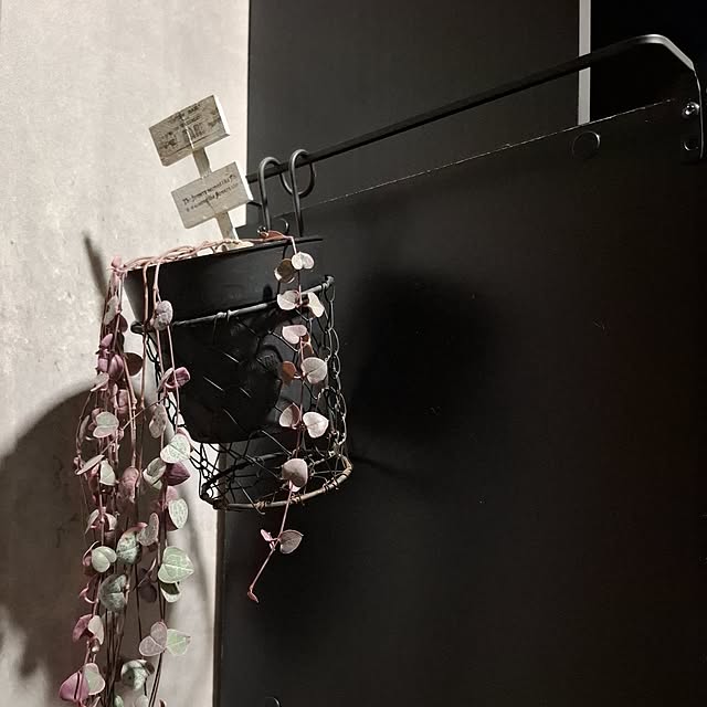 noaさんのお部屋の写真