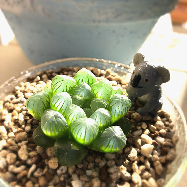 hamuさんの実例写真