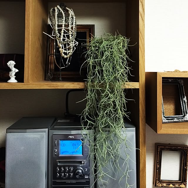 sskさんの実例写真