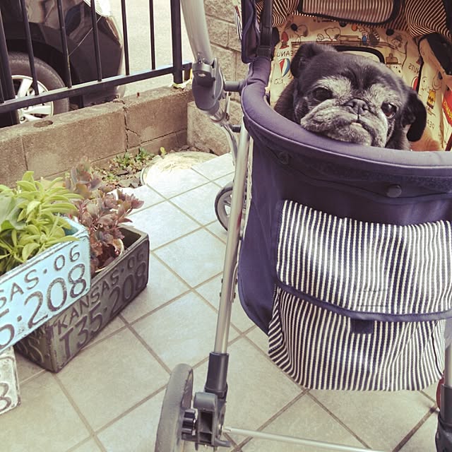 kuupugさんの実例写真
