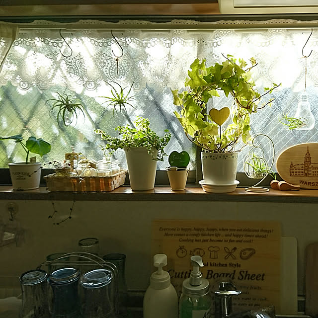midoriさんの実例写真