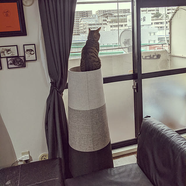 momoさんの実例写真