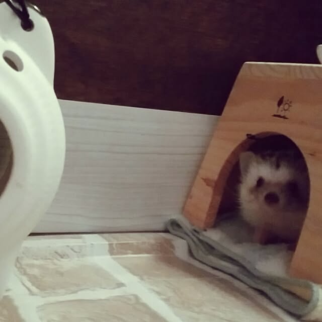 kuruさんの実例写真