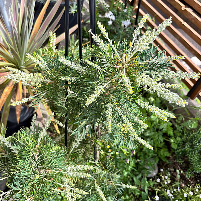 kyoko1124koさんの部屋