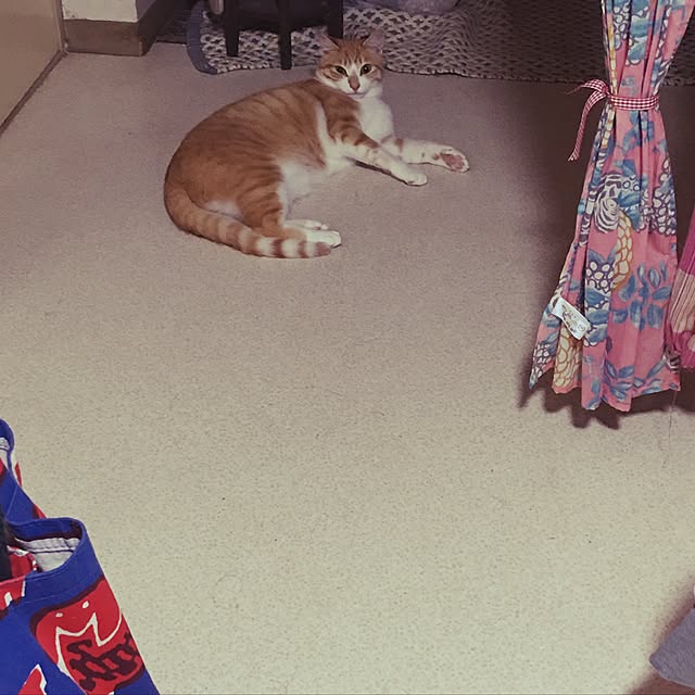 Lankaさんの実例写真