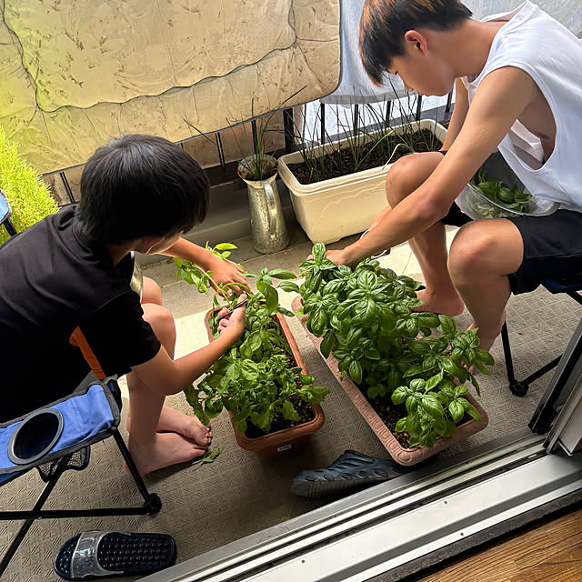 syutmmさんの部屋