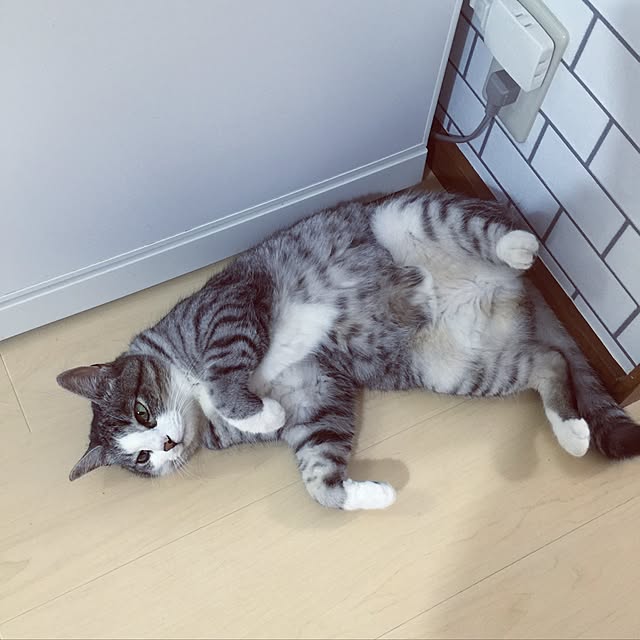 Chieさんの実例写真
