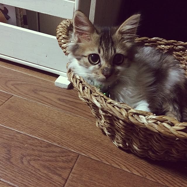 yukamomonさんの実例写真