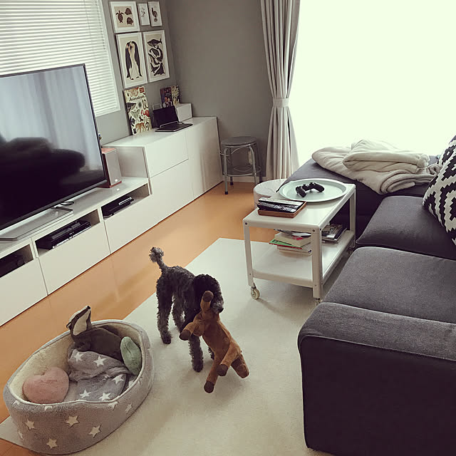 moppoさんの実例写真