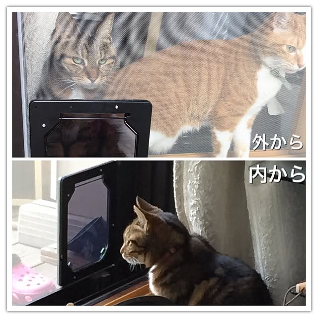 lavie0125さんの実例写真