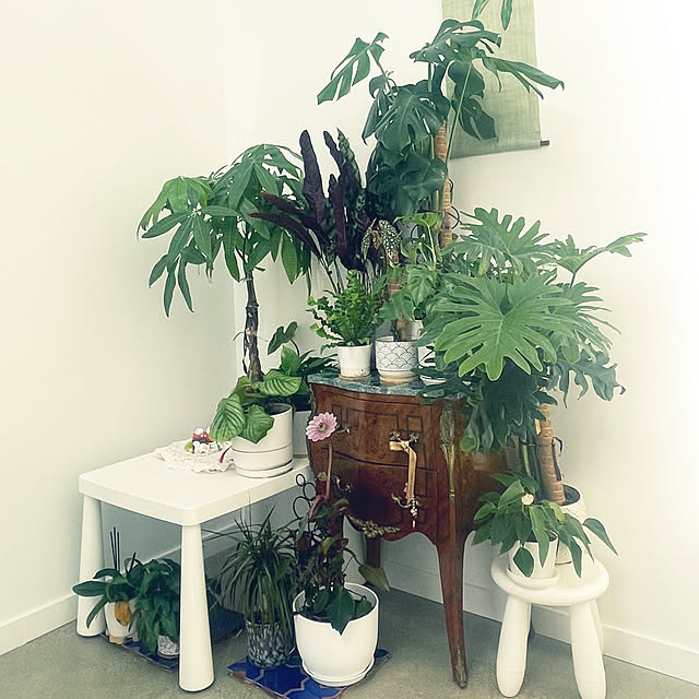 ringoさんの部屋