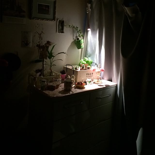 horurunさんの実例写真