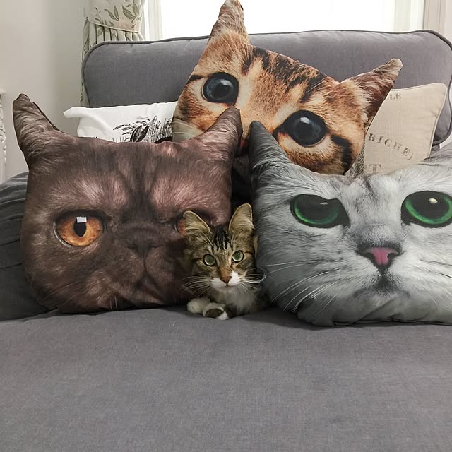 yuchiさんの実例写真