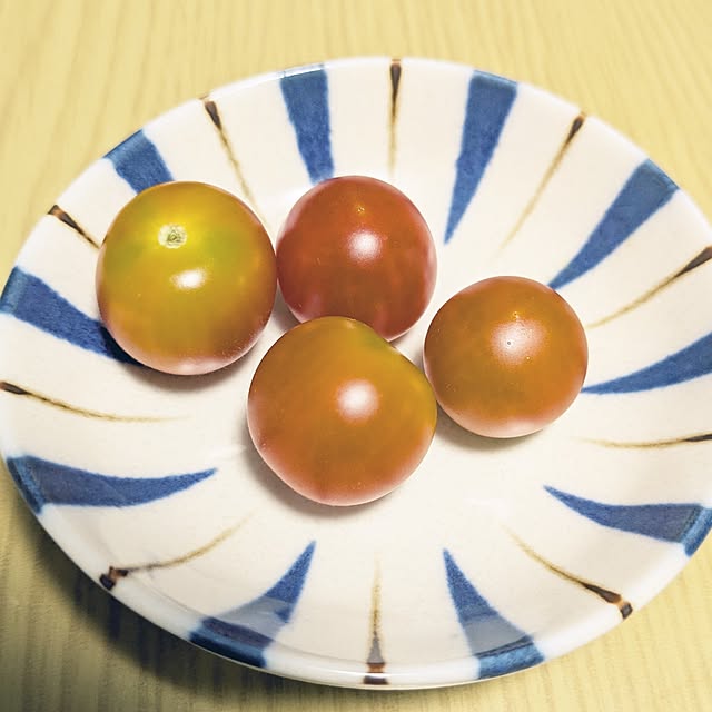 Shion+さんの実例写真