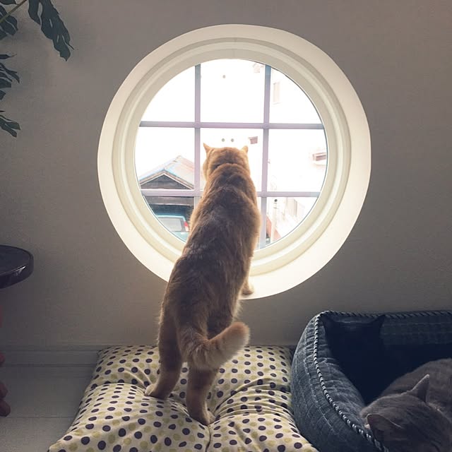 Leoさんの実例写真
