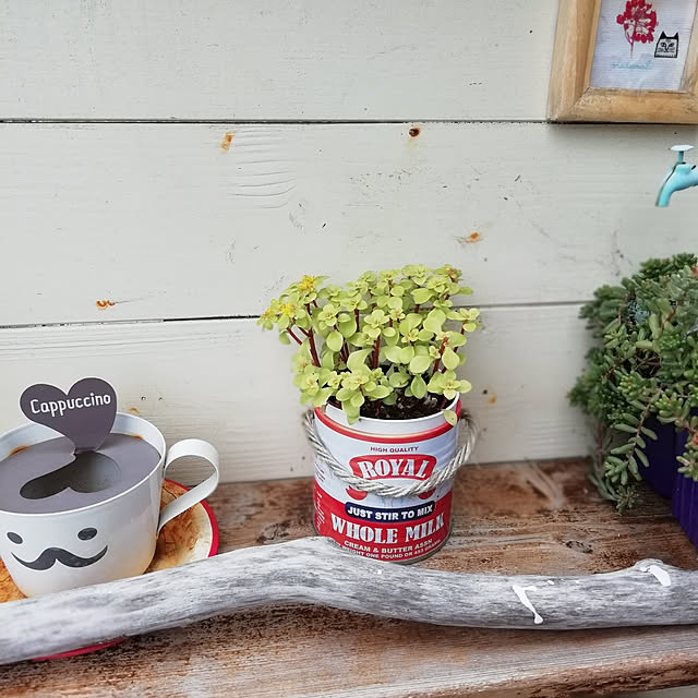 yoshieさんの実例写真