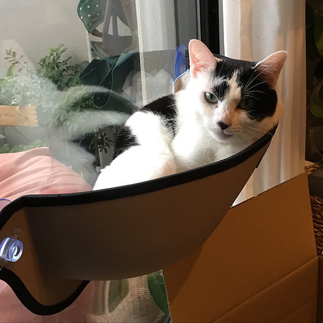 hanaさんの実例写真