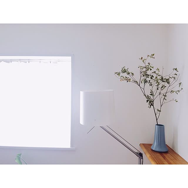 Mikiさんの実例写真