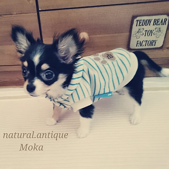 Mokaさんの実例写真