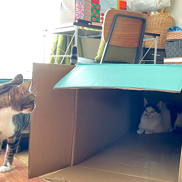 nobikoさんの部屋