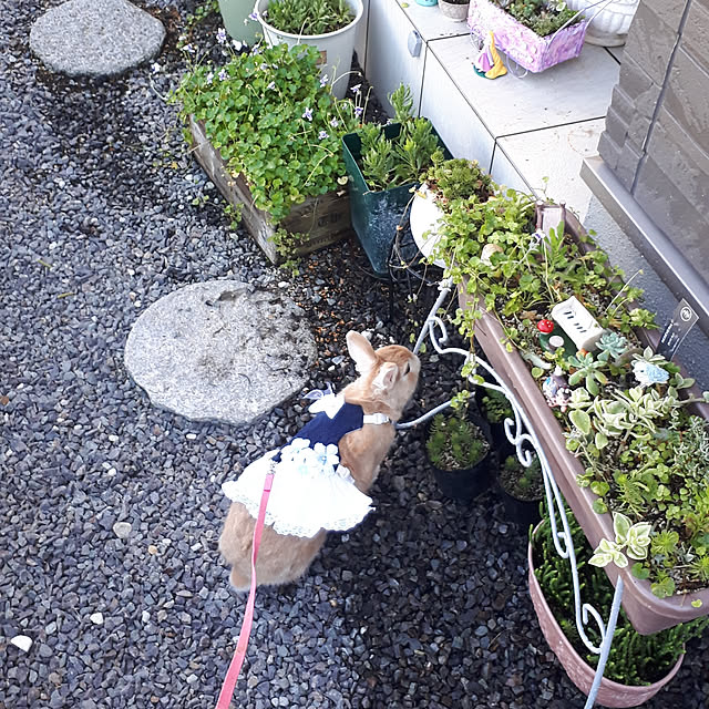 aiさんの実例写真