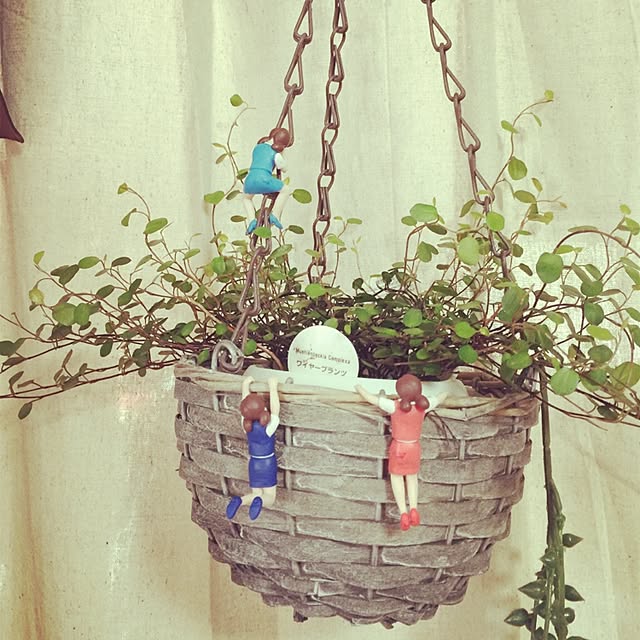 zhaojiao1987さんの実例写真