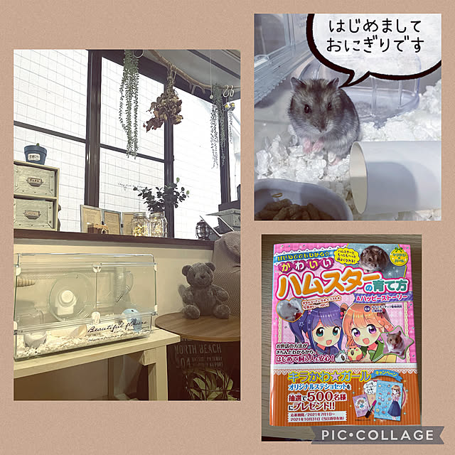 izuさんの実例写真