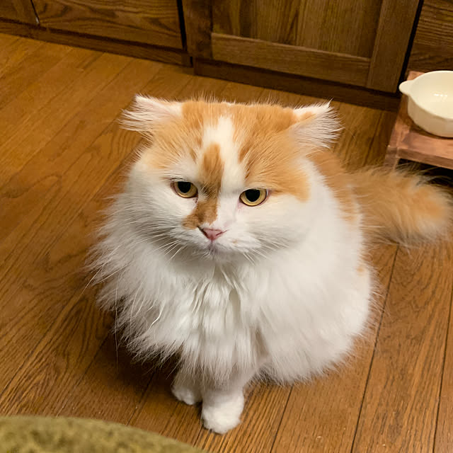 keiさんの実例写真