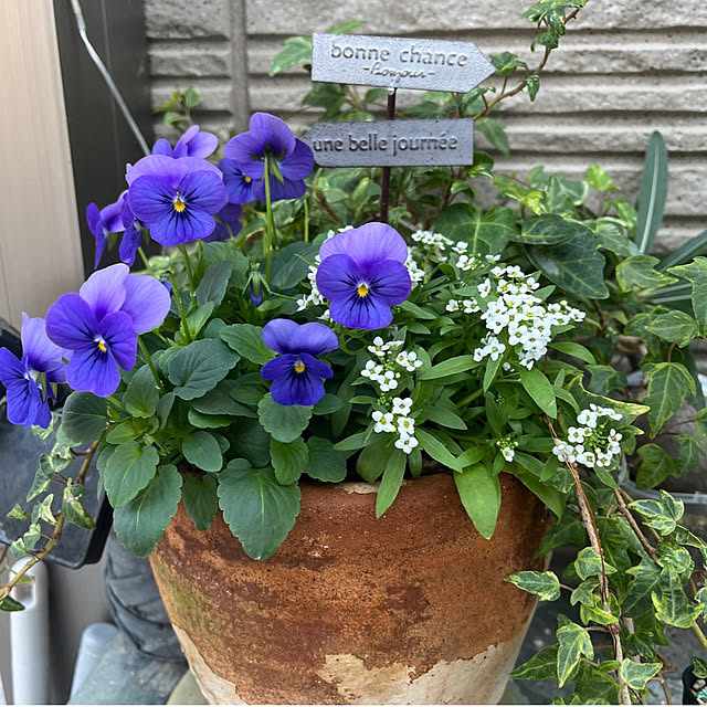 felicityさんの部屋