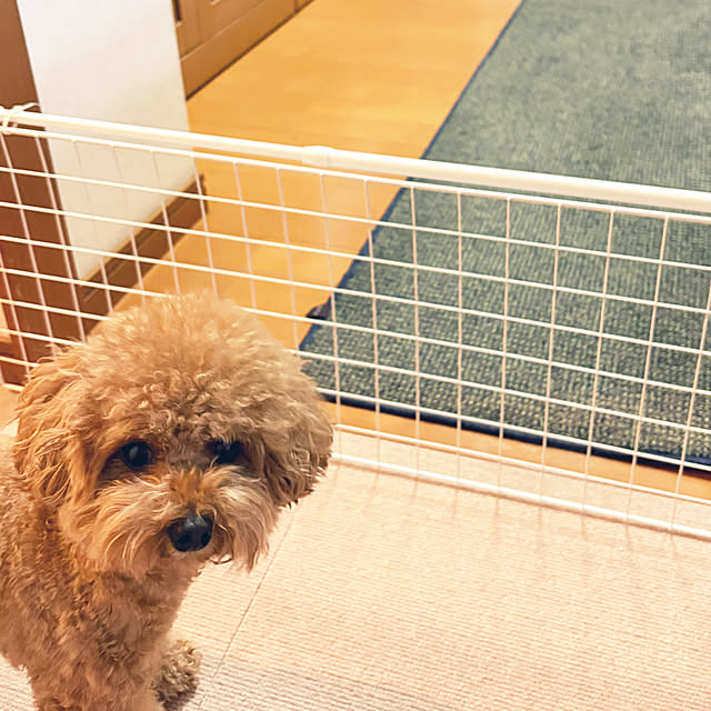 kawauso15さんの部屋