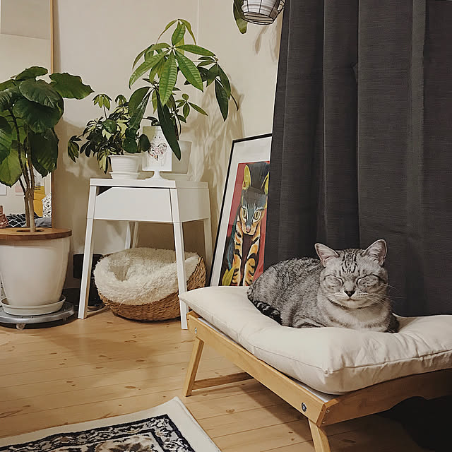 ineko_kさんの実例写真