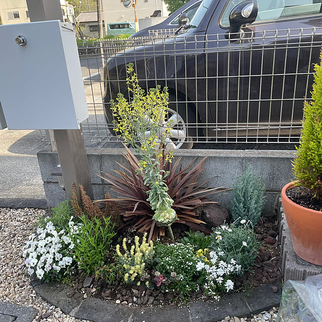 ruruさんの部屋