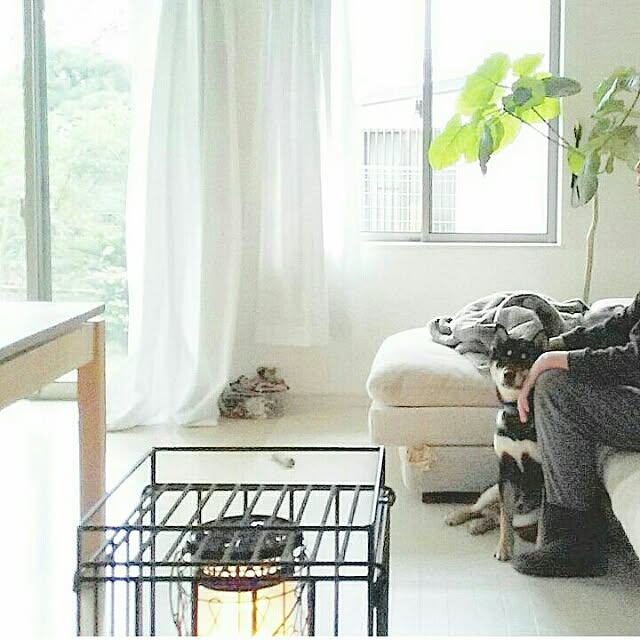 mayuさんの実例写真