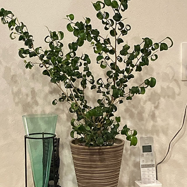 RyoLenさんの実例写真
