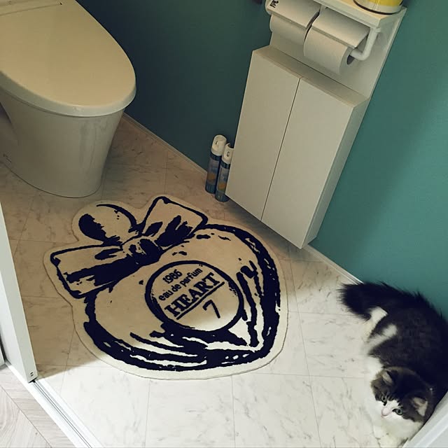 yumi_nekoさんの実例写真