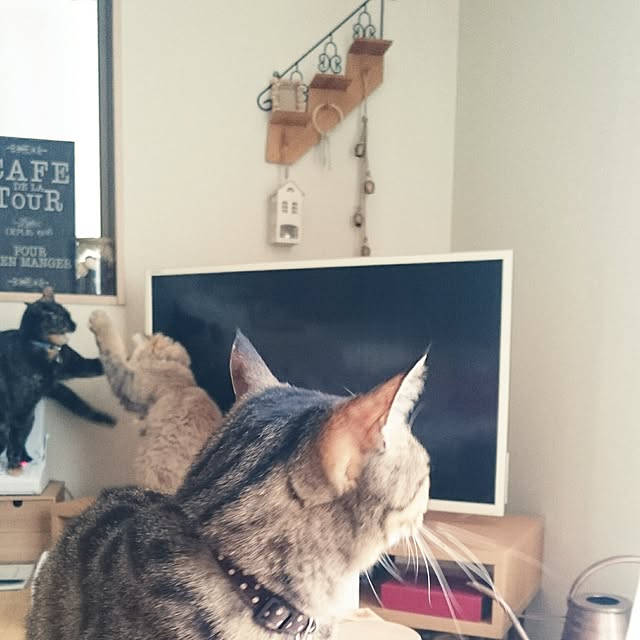 nanoさんの実例写真
