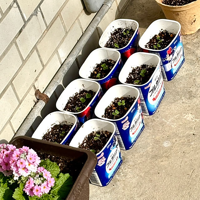 SIELUさんの実例写真