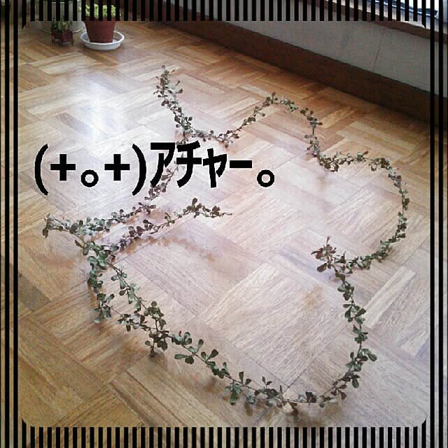 momonohanaさんの実例写真